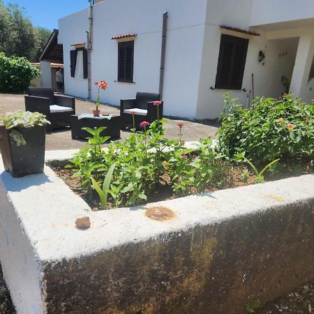Casa Vacanza Maria Antonieta 卡梅罗塔的码头 外观 照片